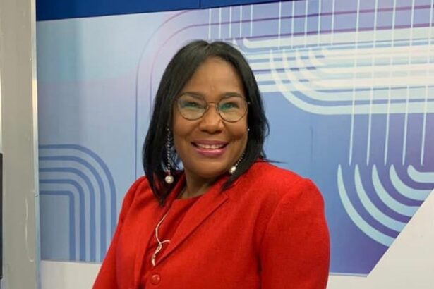 Nidia Paulino, consultora politíca