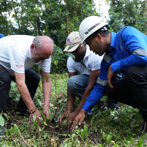 Ministerio de Energía y Minas realiza jornada de reforestación en cuencas de ríos de Cotuí