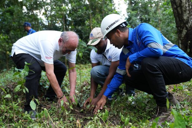Ministerio de Energía y Minas realiza jornada de reforestación en cuencas de ríos de Cotuí