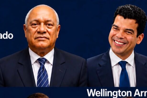 Wellington, David y Carolina: Los 3 que representan las fuerzas del PRM